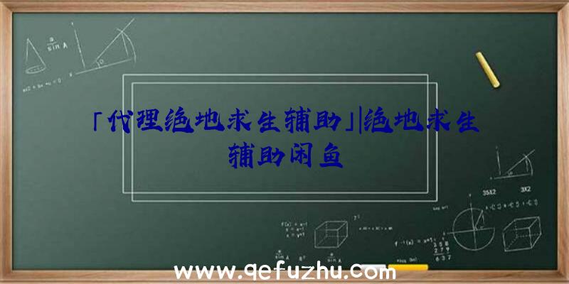 「代理绝地求生辅助」|绝地求生辅助闲鱼